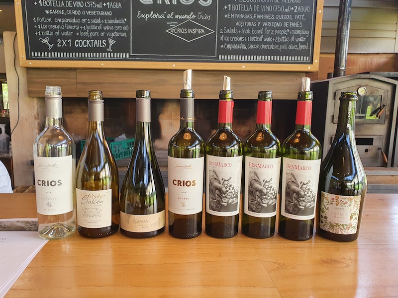 The Best South American Wines