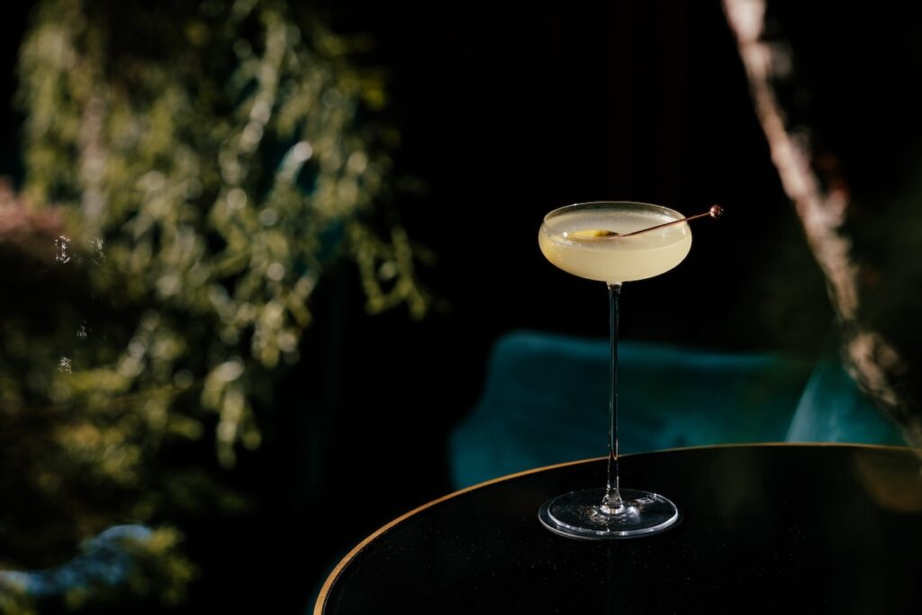 Classic American Cocktails Dirty Martini